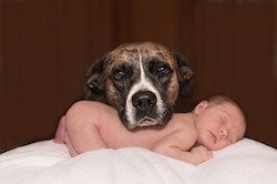 babysitting